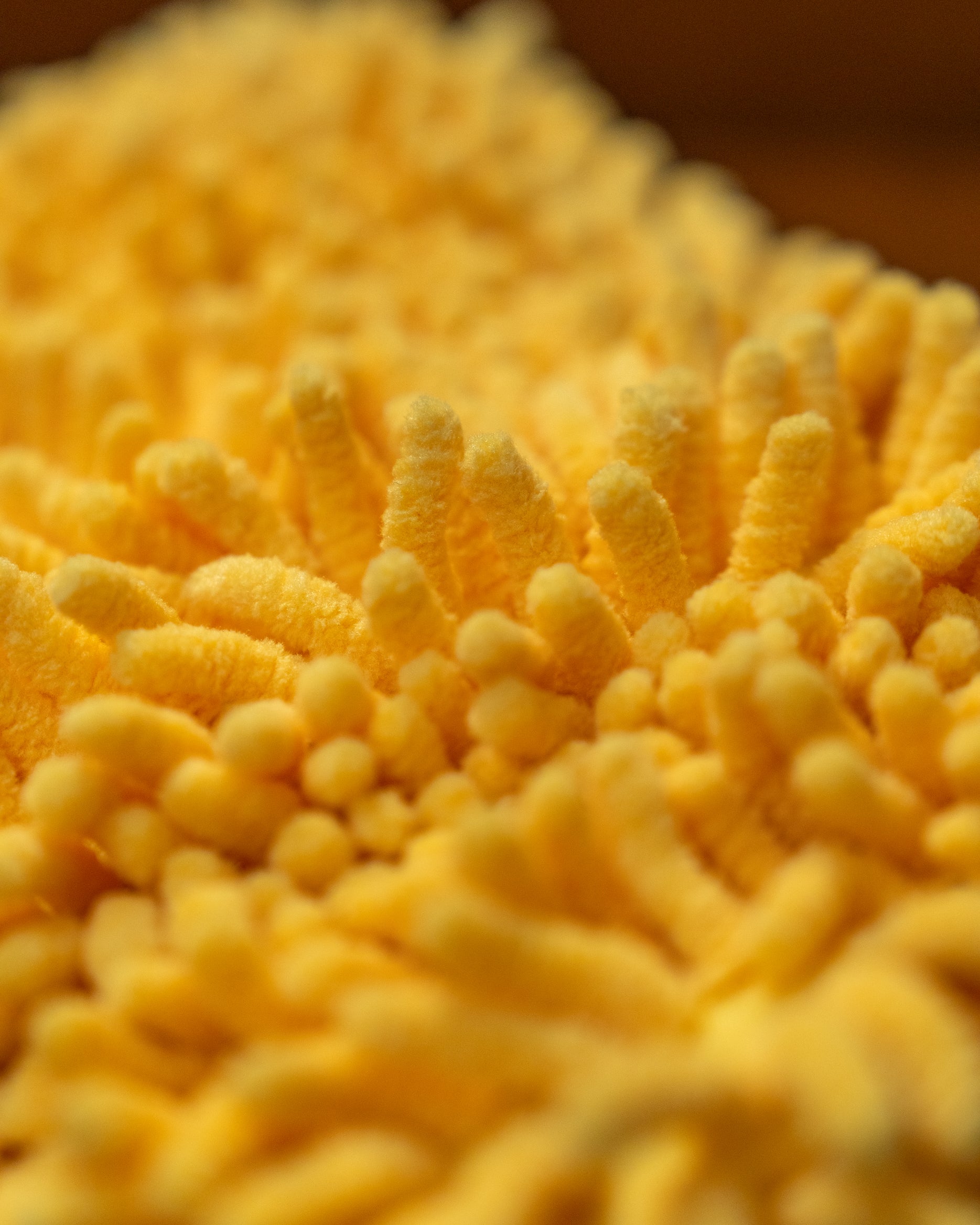 MICROFIBER